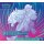 Frontalansicht der Box „Reisegefährten“ mit dem vollständigen Cover-Artwork von N und Zoroark in leuchtenden Linien.