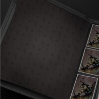 Innenansicht des Ultra PRO Portfolios mit bedruckten schwarzen Innenseiten und eingelegten Karten im Frank-Frazetta-Design.