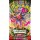 Pokémon TCG Boosterpack Mega-Entwicklung – Optimale Ordnung mit Mauzi-Artwork