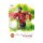 Topps Manchester United Sammelkarte Ryan Giggs Midfielder in klassischem Red Devils Trikot