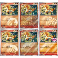&Uuml;bersicht verschiedener Ponita Karten aus Pok&eacute;mon TCG Vol. 4 in mehreren Holo- und Designvarianten