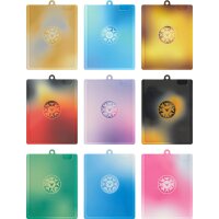 Neun farbige Kartenhalter-R&uuml;ckseiten der CSV9.5 Geschenkbox mit Evoli-Symbol in der Mitte.